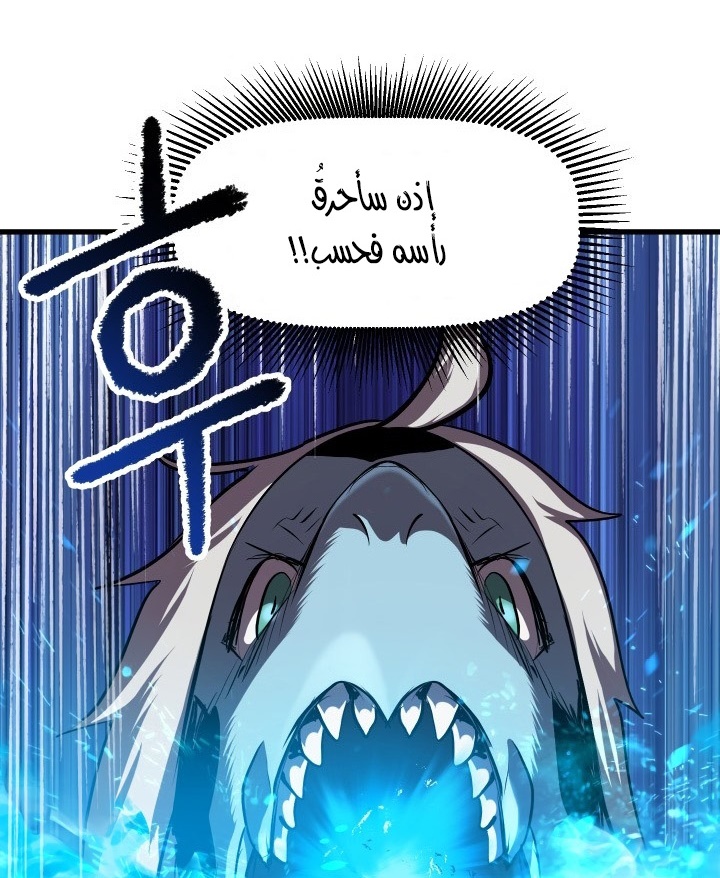 صفحة 43