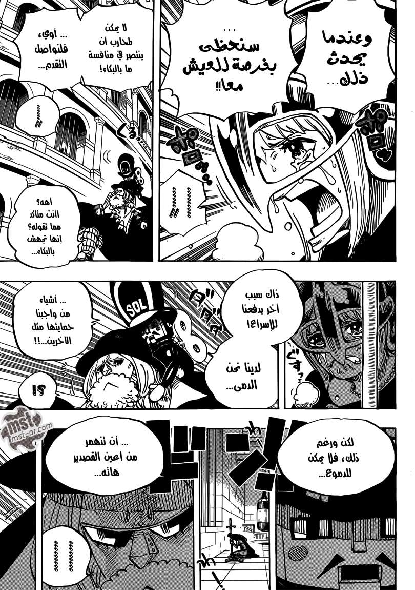 صفحة 17