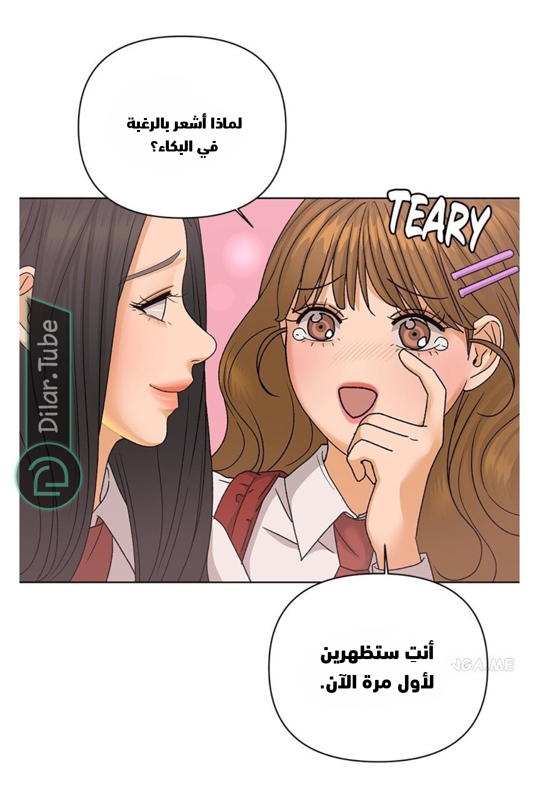 صفحة 19