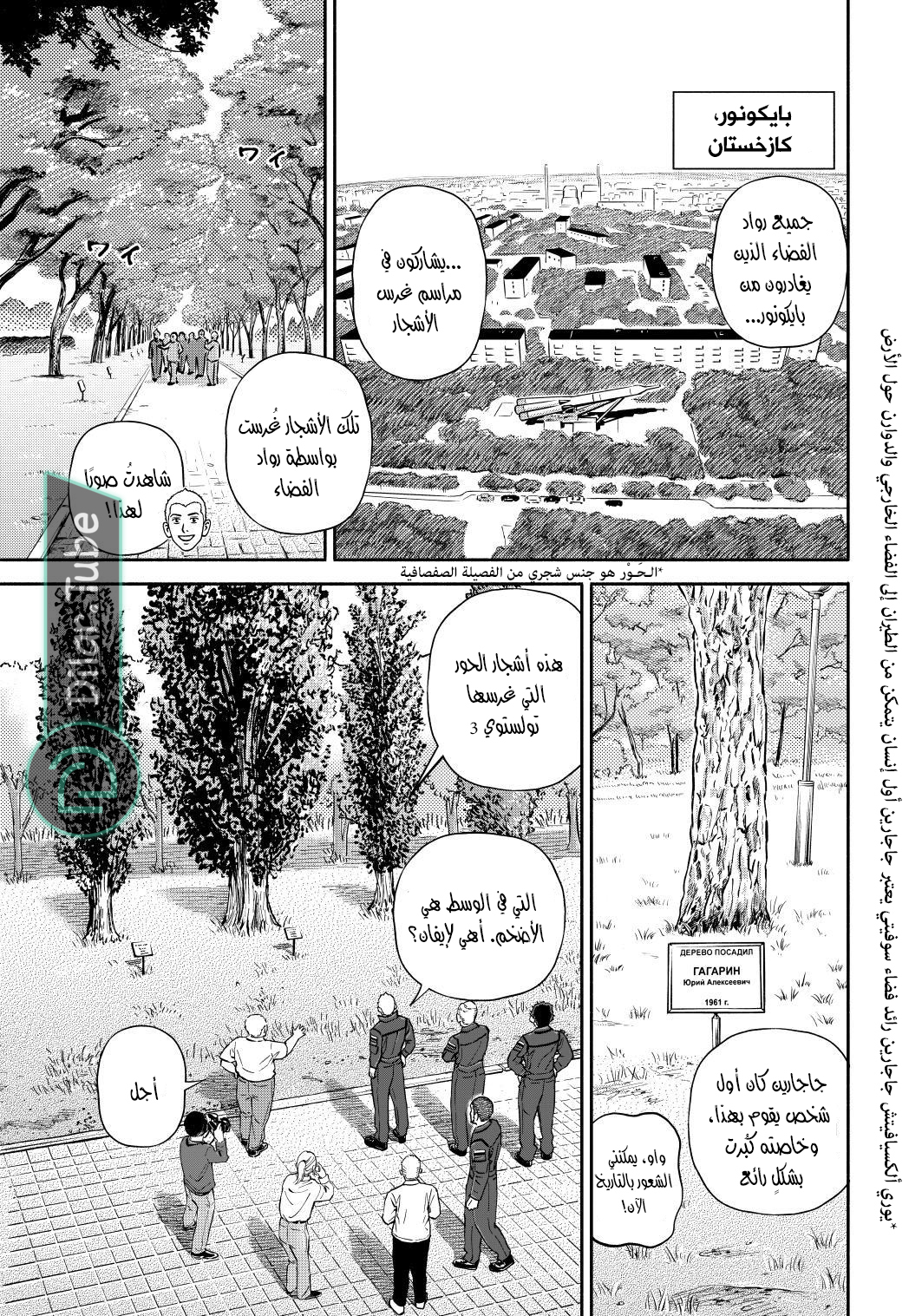 صفحة 14