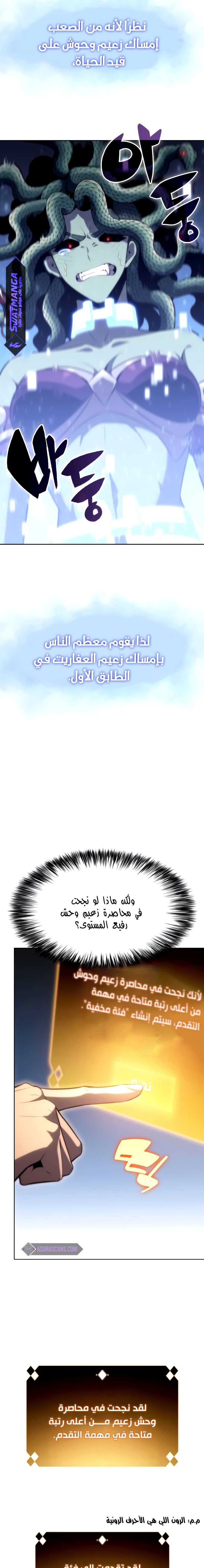 صفحة 17