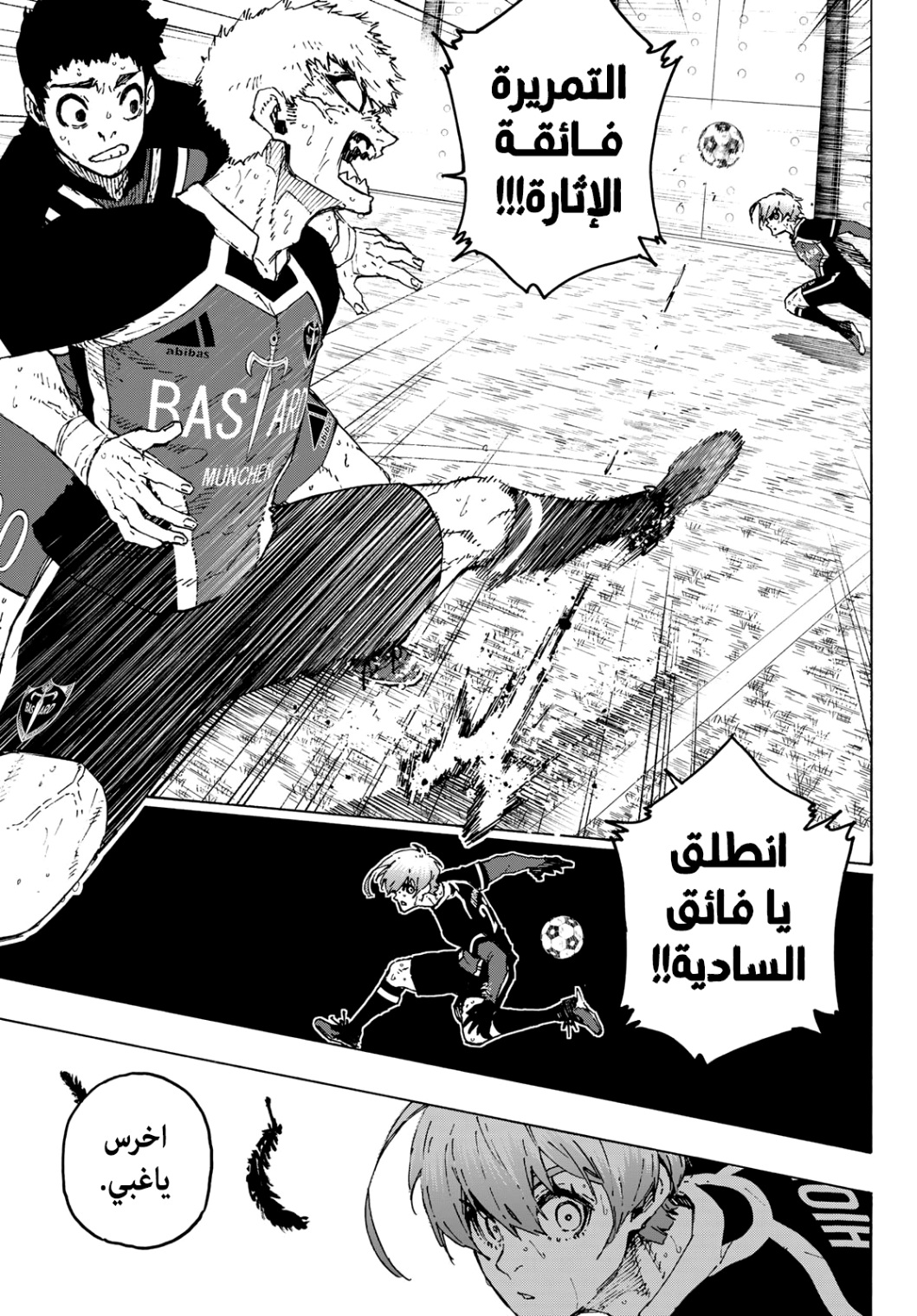 صفحة 13
