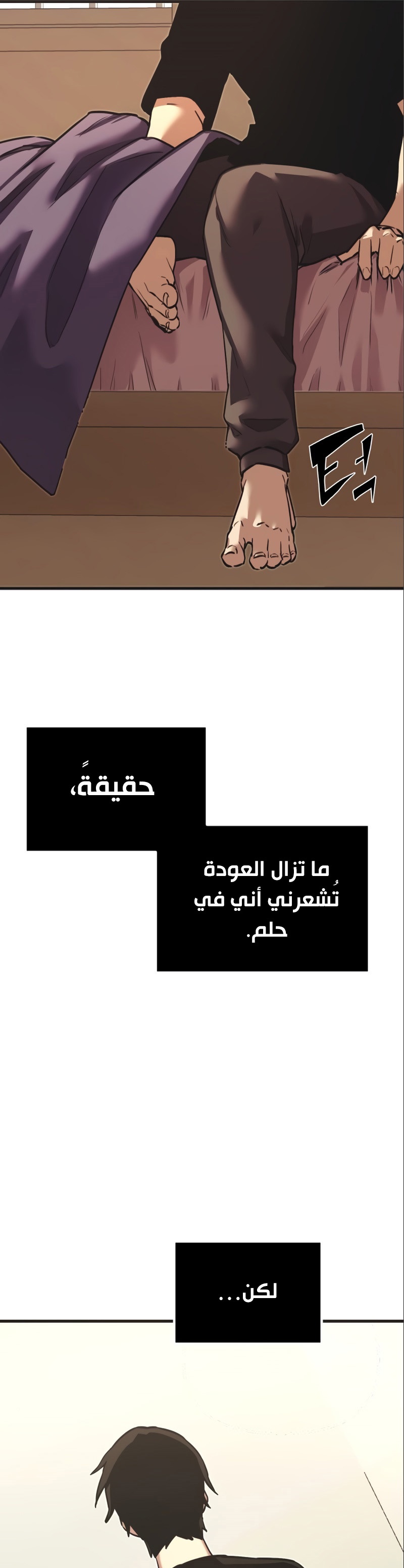 صفحة 17
