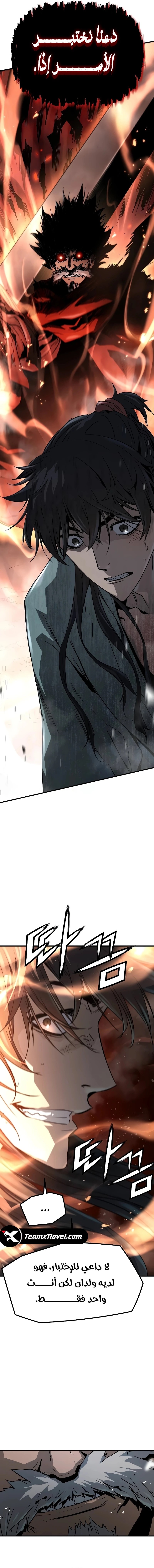 صفحة 17